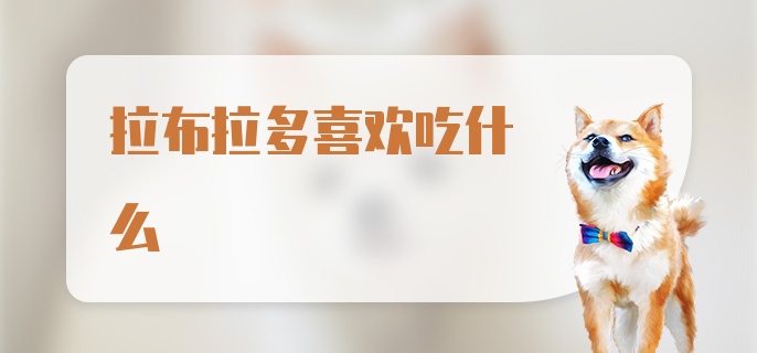 拉布拉多喜欢吃什么