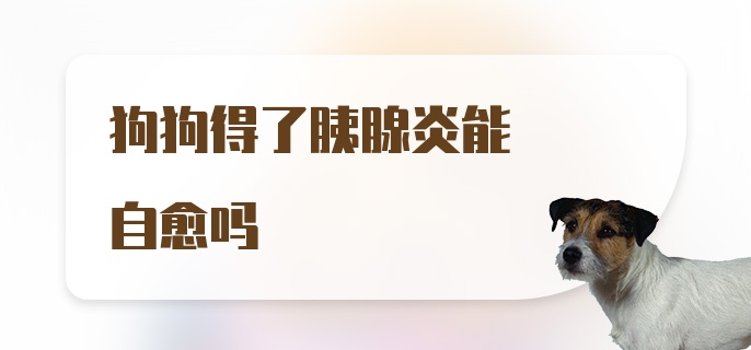 狗狗得了胰腺炎能自愈吗