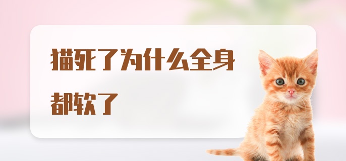 猫死了为什么全身都软了