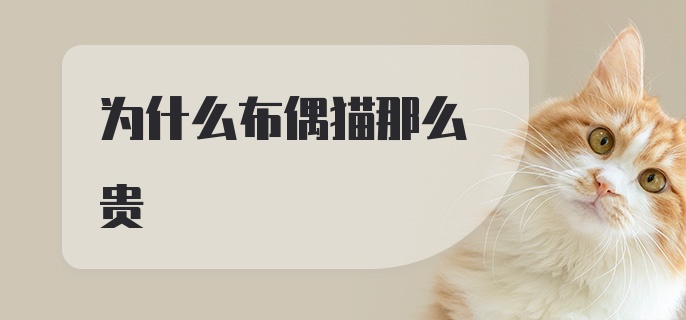 为什么布偶猫那么贵