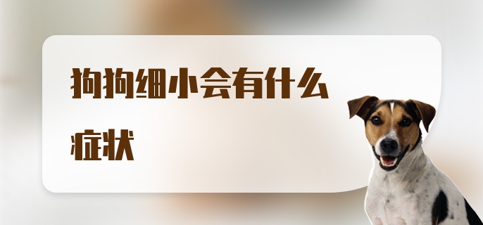 狗狗细小会有什么症状