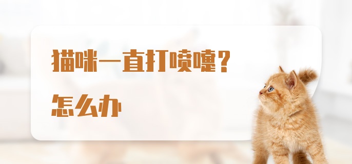 猫咪一直打喷嚏?怎么办