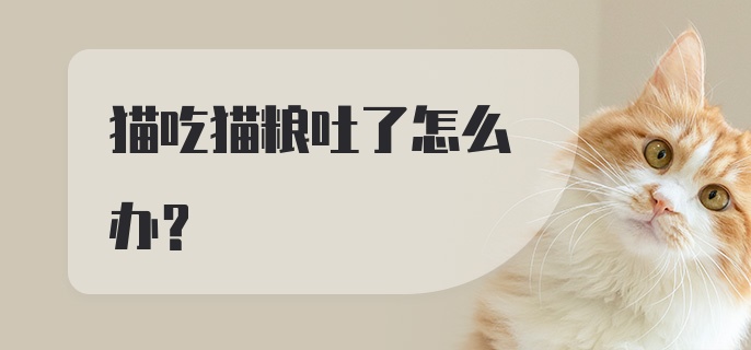 猫吃猫粮吐了怎么办？