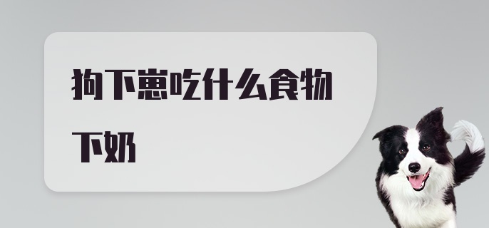 狗下崽吃什么食物下奶