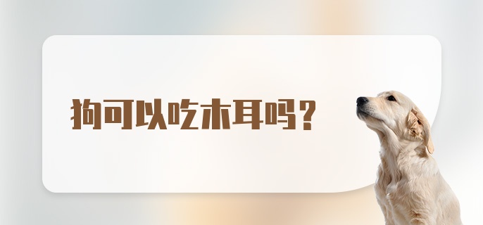 狗可以吃木耳吗？