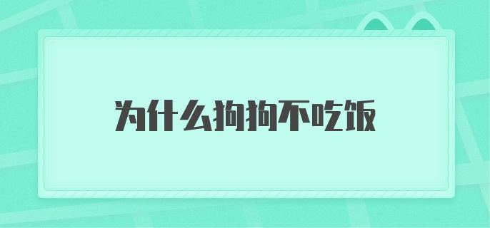 为什么狗狗不吃饭