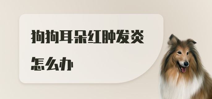 狗狗耳朵红肿发炎怎么办