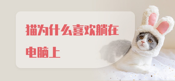 猫为什么喜欢躺在电脑上