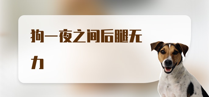 狗一夜之间后腿无力