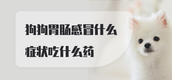 狗狗胃肠感冒什么症状吃什么药