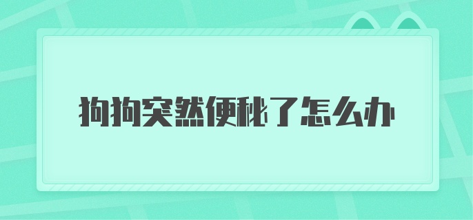 狗狗突然便秘了怎么办