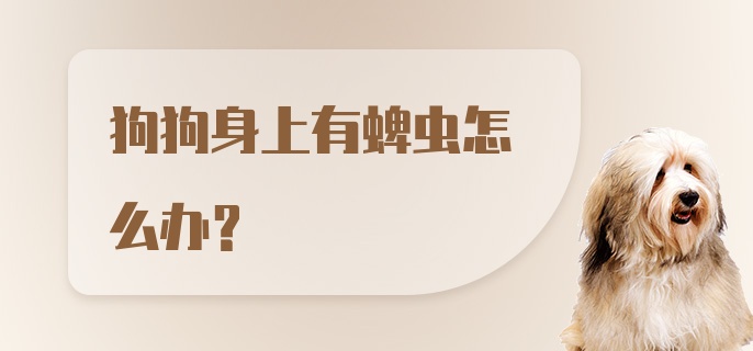 狗狗身上有蜱虫怎么办？