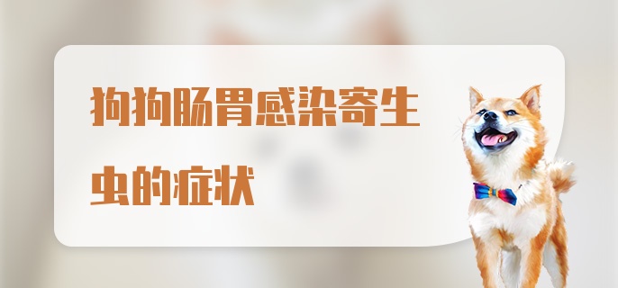 狗狗肠胃感染寄生虫的症状