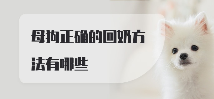 母狗正确的回奶方法有哪些