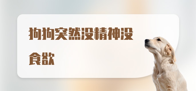 狗狗突然没精神没食欲