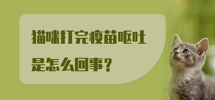 猫咪打完疫苗呕吐是怎么回事？