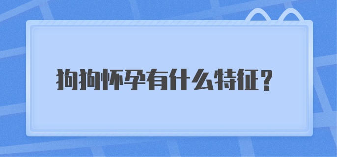 狗狗怀孕有什么特征？