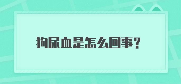 狗尿血是怎么回事?