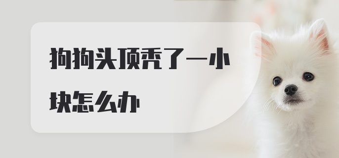 狗狗头顶秃了一小块怎么办