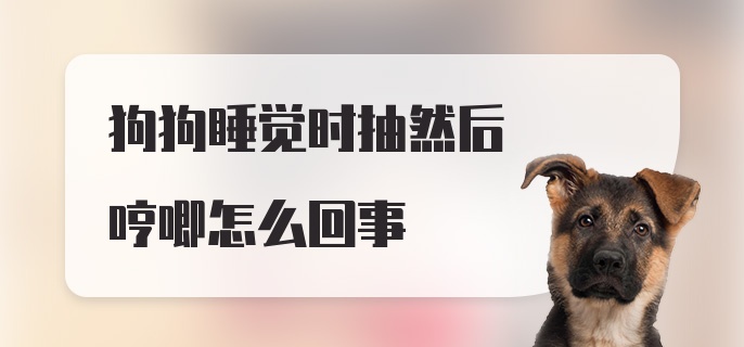 狗狗睡觉时抽然后哼唧怎么回事