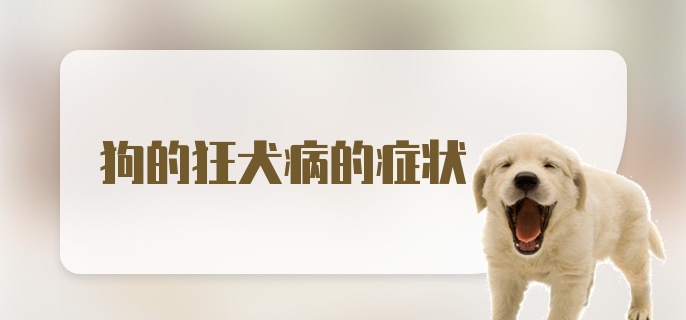 狗的狂犬病的症状