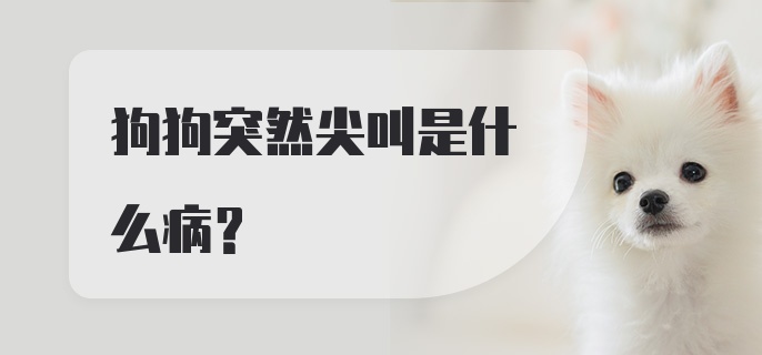 狗狗突然尖叫是什么病？