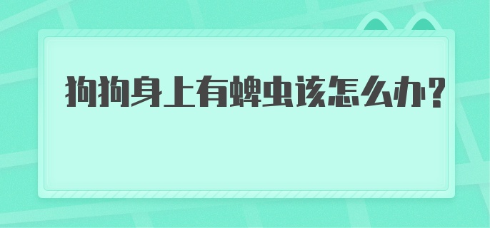 狗狗身上有蜱虫该怎么办?