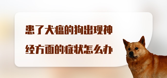 患了犬瘟的狗出现神经方面的症状怎么办