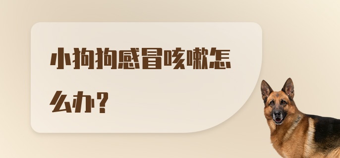 小狗狗感冒咳嗽怎么办？