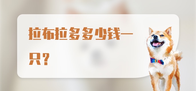 拉布拉多多少钱一只？