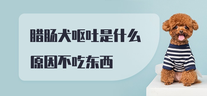 腊肠犬呕吐是什么原因不吃东西