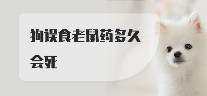 狗误食老鼠药多久会死