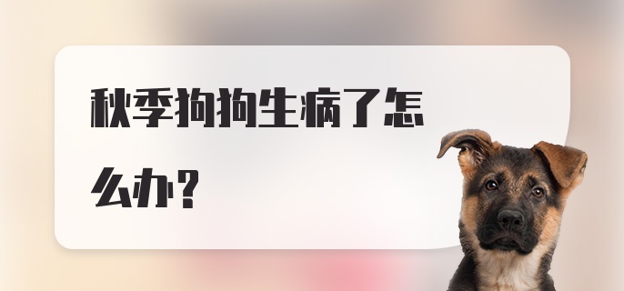 秋季狗狗生病了怎么办?