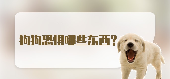 狗狗恐惧哪些东西？