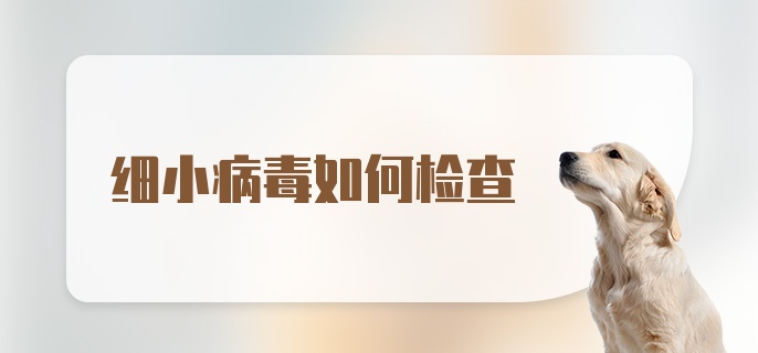 细小病毒如何检查