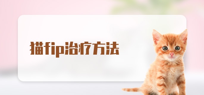 猫fip治疗方法