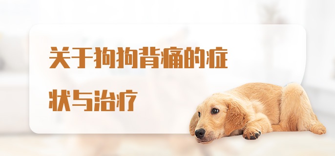 关于狗狗背痛的症状与治疗