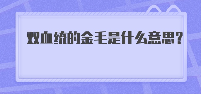 双血统的金毛是什么意思?