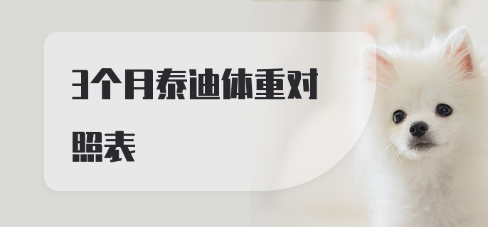 3个月泰迪体重对照表