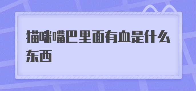 猫咪嘴巴里面有血是什么东西