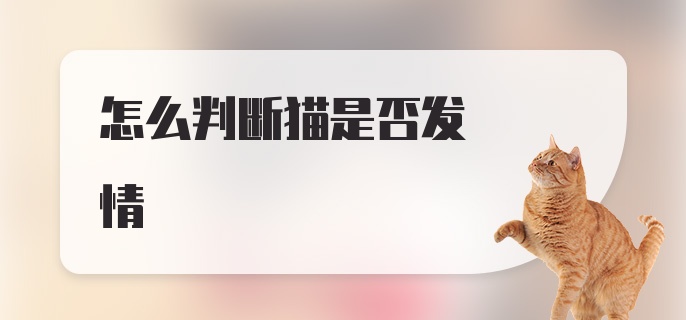 怎么判断猫是否发情