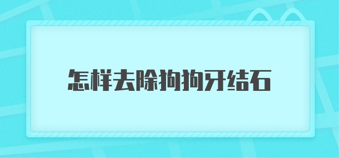 怎样去除狗狗牙结石