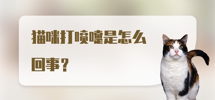 猫咪打喷嚏是怎么回事?