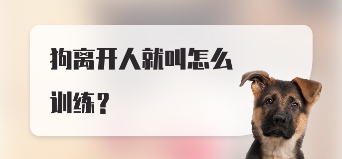 狗离开人就叫怎么训练？