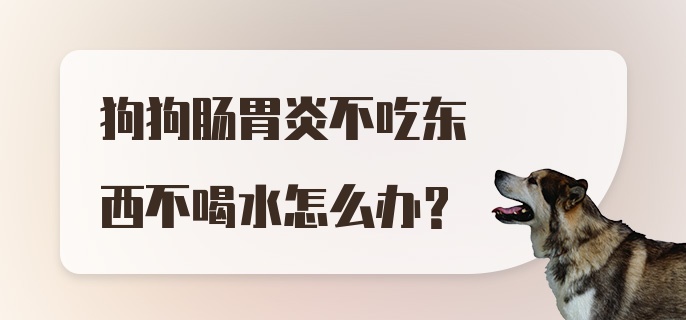 狗狗肠胃炎不吃东西不喝水怎么办？