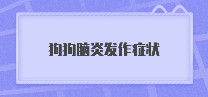 狗狗脑炎发作症状