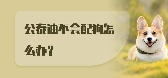 公泰迪不会配狗怎么办?