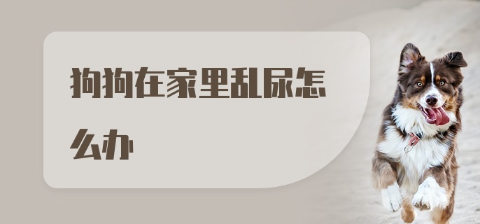 狗狗在家里乱尿怎么办