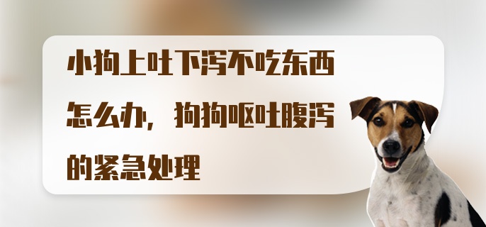 小狗上吐下泻不吃东西怎么办，狗狗呕吐腹泻的紧急处理