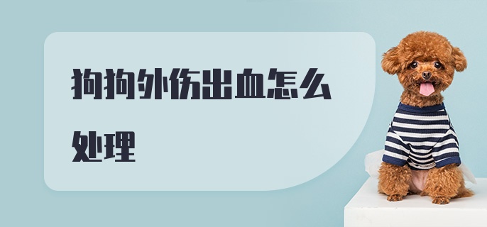 狗狗外伤出血怎么处理